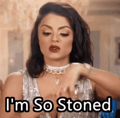 Stoned Golnesa Gharachedaghi TV Personality GIF