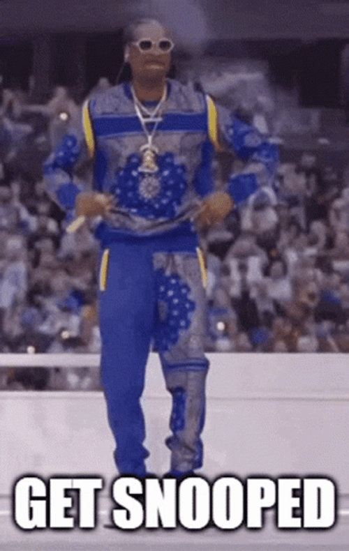 Stoned Snoop Dog Cool Groove GIF