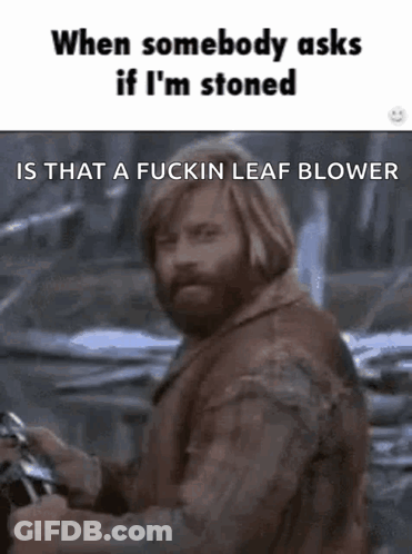 Stoned When Somebody Asks If Im Stoned GIF