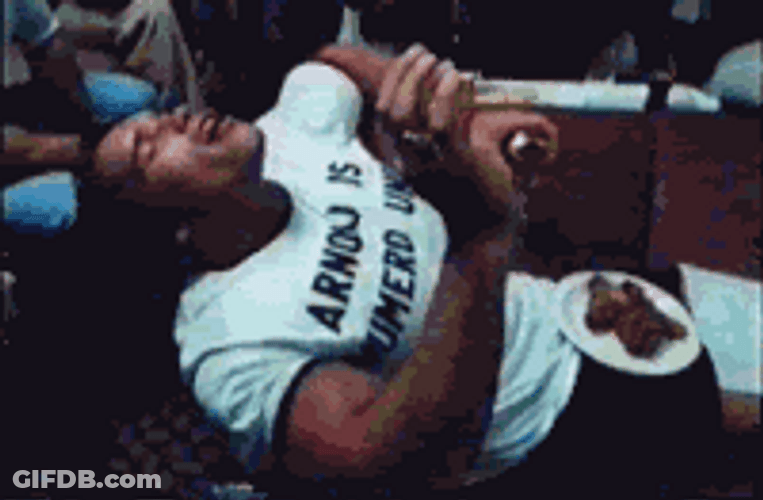 Stoner Arnold Schwarzenegger GIF