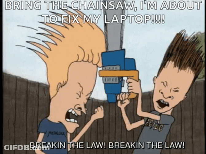 Stop Breaking The Law Beavis And Butt Head GIF
