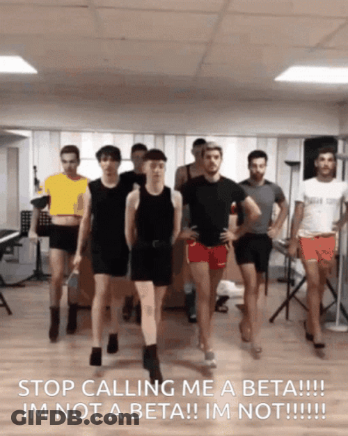 Stop Calling Beta Im Not A Smart Man GIF