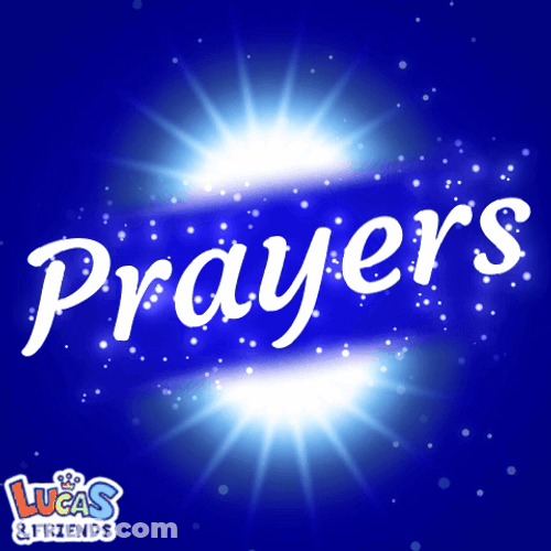 Stop Get Some Help And Prayers GIF