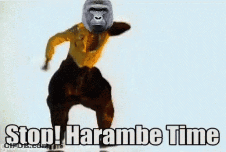 Stop Harambe Time Gorilla Dancing GIF