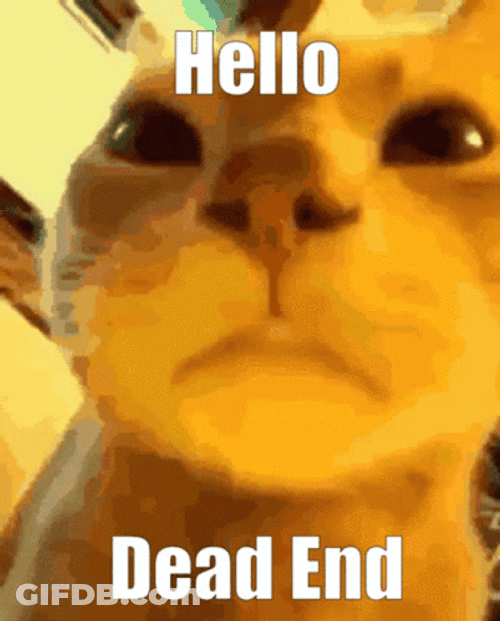 Stop He's Already Dead Close Up Kitty GIF