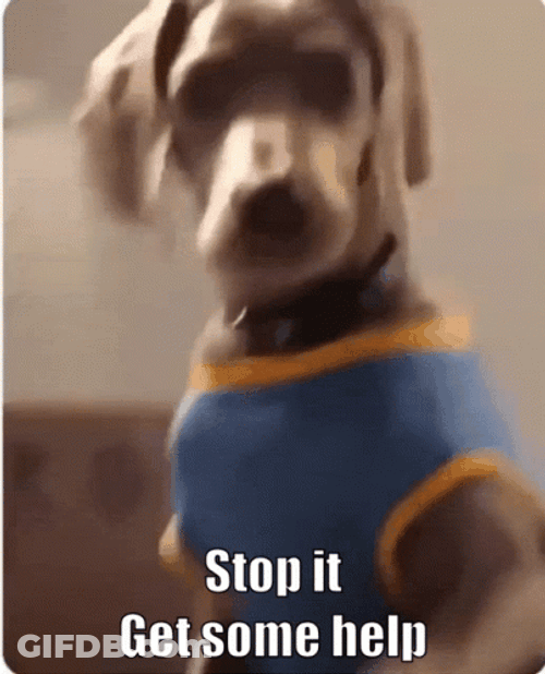 Stop It Get Some Help Dog GIF