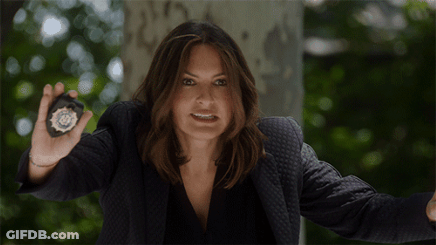 Stop It Law And Order GIF