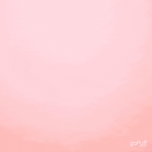 Stop Motion Giving Flowers GIF