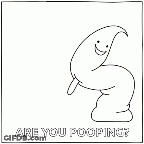 Stop Pooping Everywhere GIF