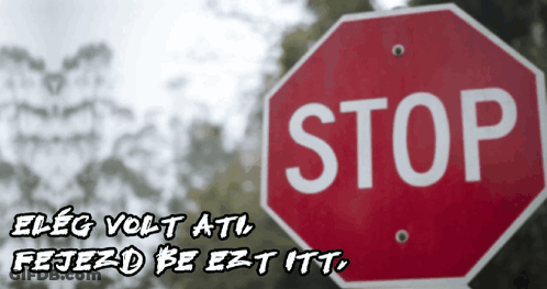 Stop Sign With Trees And Foreign Language GIF