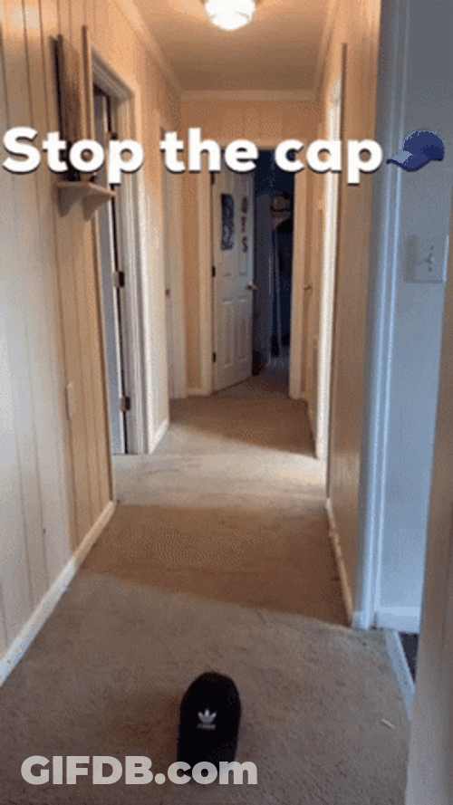 Stop The Cap Dive Slide Pathway GIF