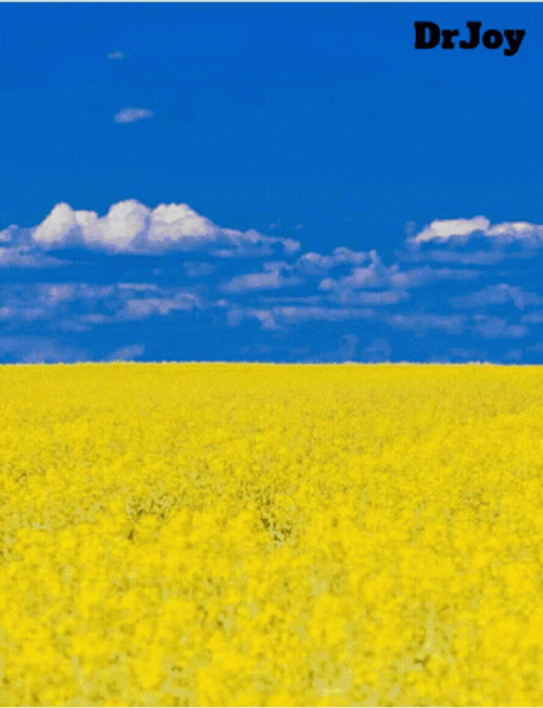 Stop War With Ukraine Save Planet Earth GIF