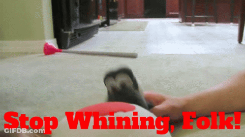 Stop Whining Sign With Cat GIF