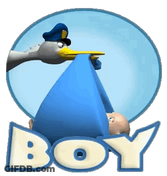 Stork Carrying Baby In Blue Blanket Boy GIF