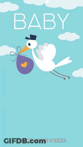 Stork Carrying Heart Bag Baby 3 Weeks GIF