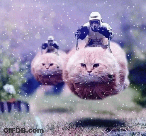 Storm Trooper Riding Cat In Snow GIF