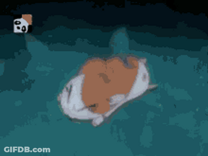Storm Winds Blew Hamtaro Away Dog House GIF