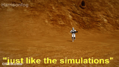 Stormtrooper Saying Just Like The Simulations GIF