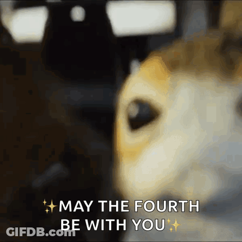 Stormtroopers Dancing With LGBTQ Message GIF