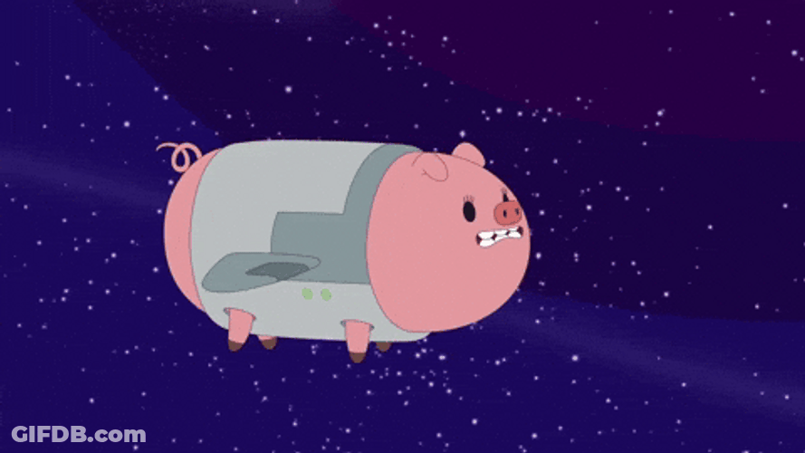 Stout Pig Flies Above Starry Night GIF