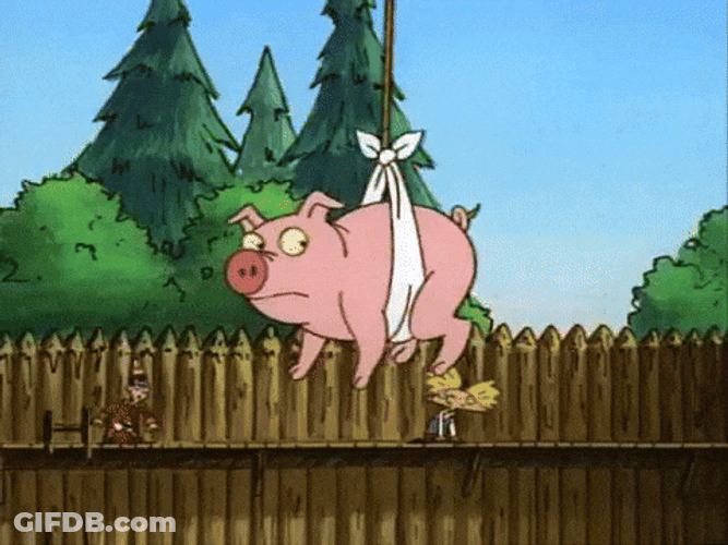 Stout Pig Flies Airlifted On Rope GIF