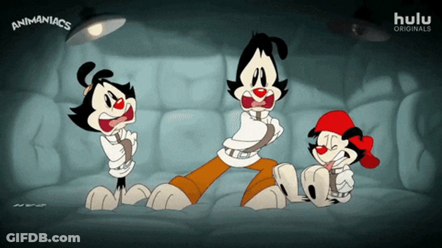 Straight Jacket Animated Animaniacs GIF
