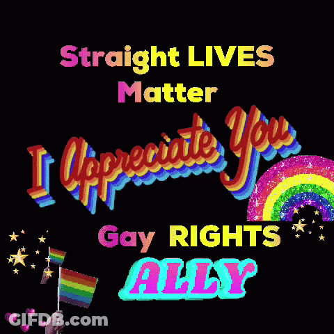Straight Lives Matter And Gay Rights Ally Poster GIF