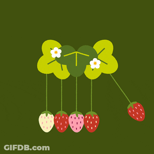 Strawberries As Newton Pendulum GIF