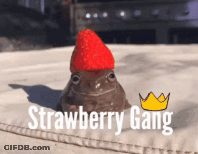 Strawberry Gang Meme Funny Frog GIF