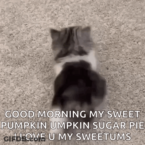Strawberry Shortcake Slice Saying It's Strawberry Shortcake Day GIF