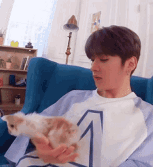 Stray Kids Leeknow Pet Rabbit GIF