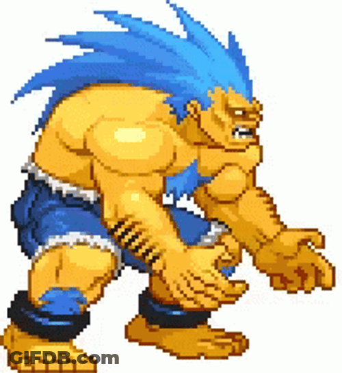 Street Fighter Blanka The Beast GIF