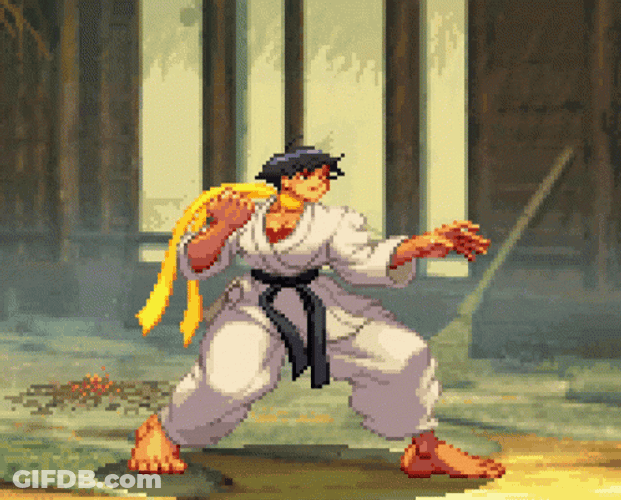 Street Fighter Makoto Battle Ready GIF