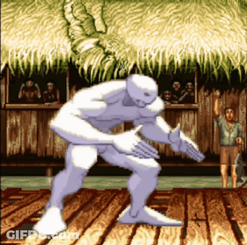 Street Fighter Mysterious Twelve GIF