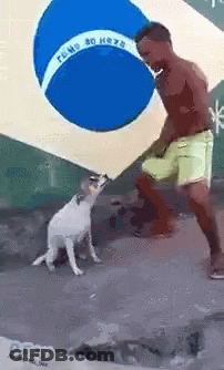 Street Scene Painting In Animotica GIF