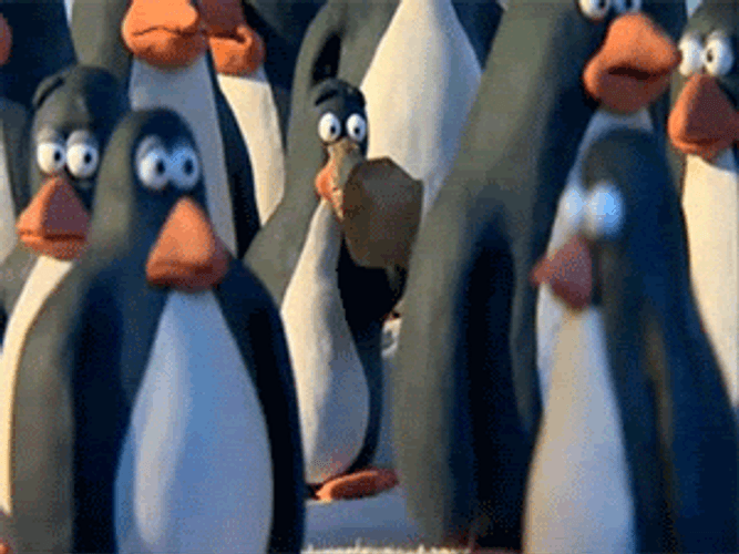 Stressed Penguin Anxiety Attack GIF