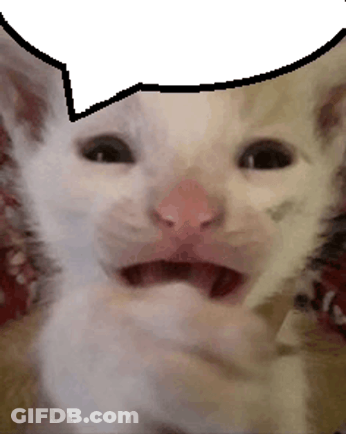 Stressful Baby Cat Screaming GIF