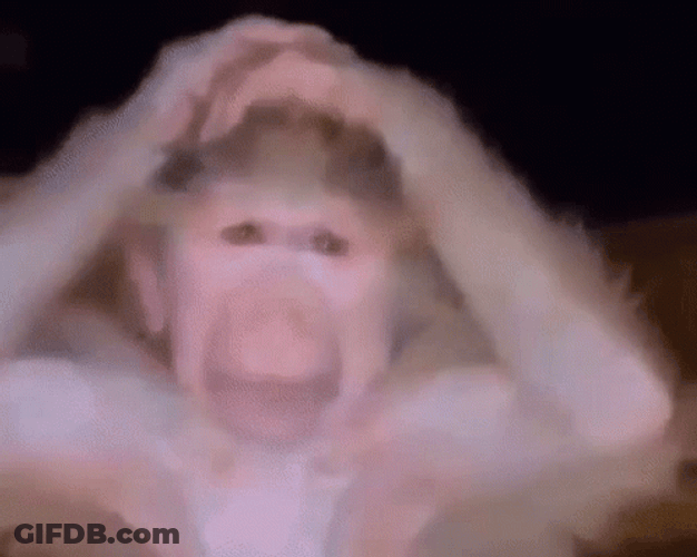 Stressing Out Monkey GIF