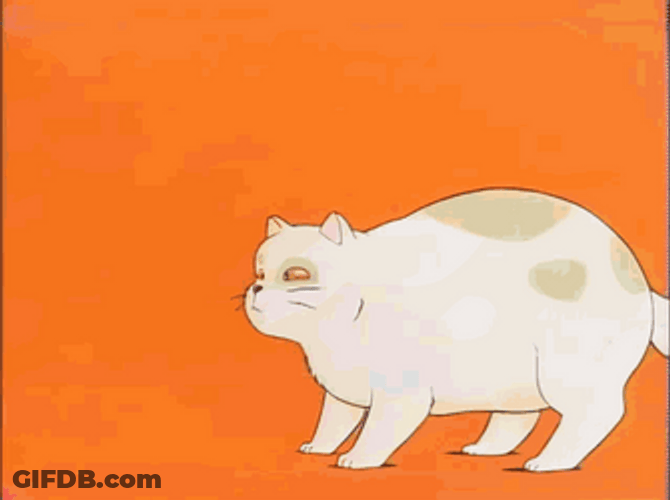 Stretching Fat Cat Animation GIF