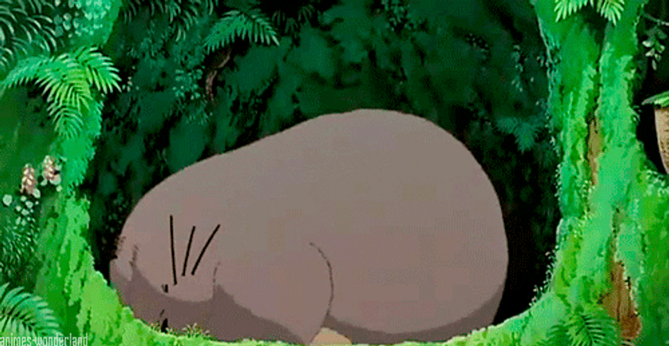 Stretching My Neighbor Totoro GIF