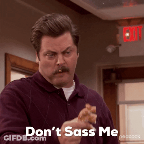 Strict Ron Swanson Don't Sass Me GIF