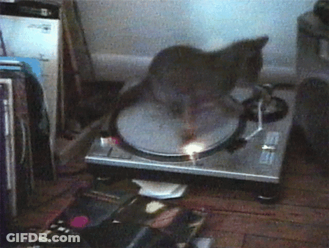 Stripe Spinning Cat On Music Disc Dizzy GIF