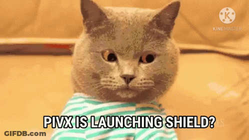 Striped Shirt Cat Says Pixx Is Launching Shield? GIF