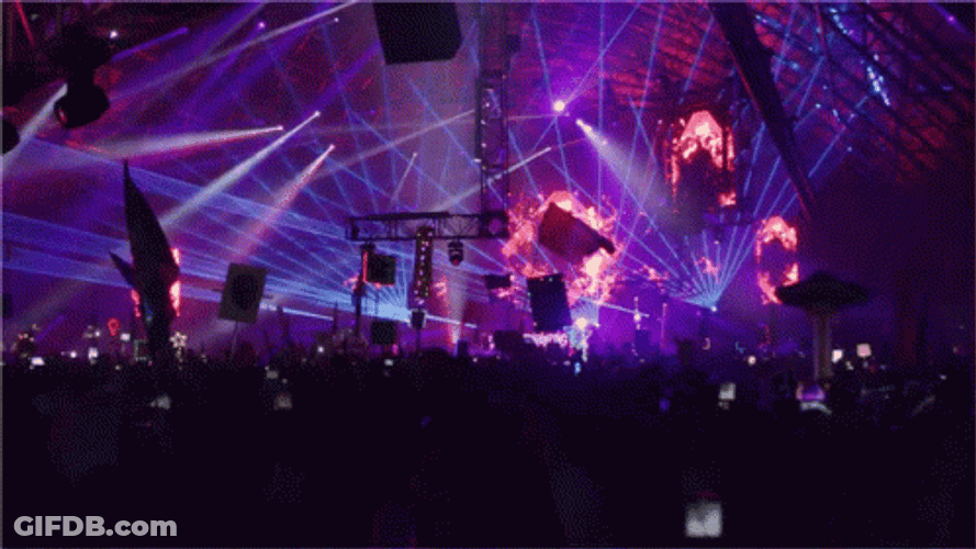 Strobe Light Dance Concert Crowd GIF