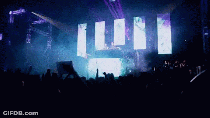 Strobe Light EDM Crowd Concert GIF