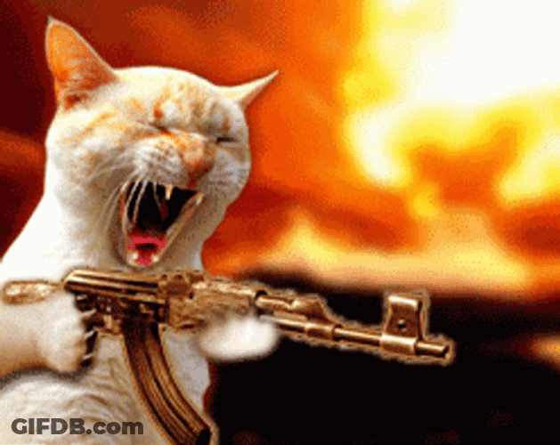 Strong Cat Shooter GIF