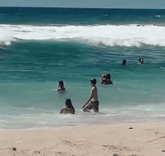 Strong Waves Funny Beach GIF