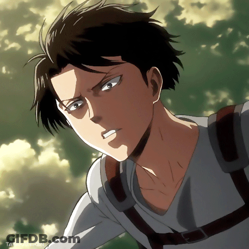 Strongest Soldier Levi Ackerman GIF