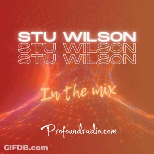 Stu Wilson In The Mix Poster GIF