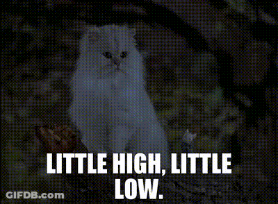 Stuart Little Little High Little Low GIF